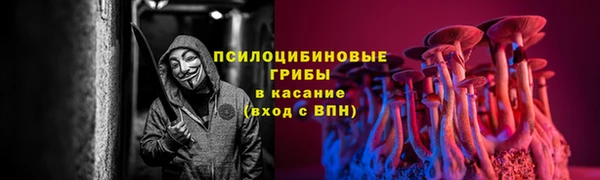 кокаин премиум Богородицк