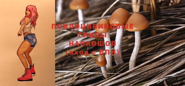 МДМА Белокуриха