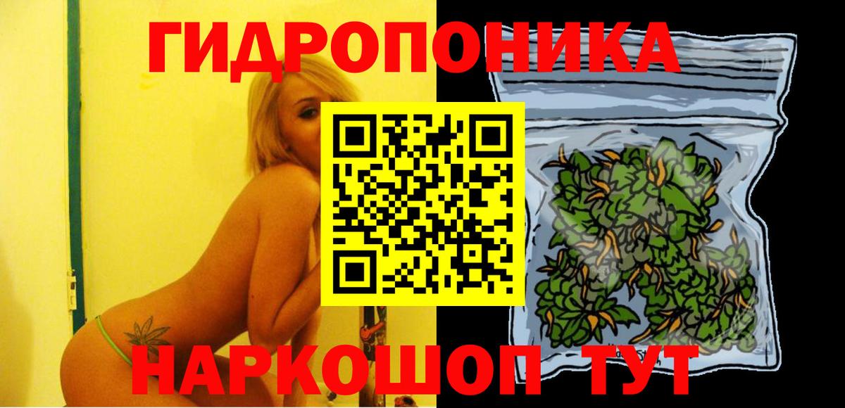 Каннабис гибрид Кузнецк